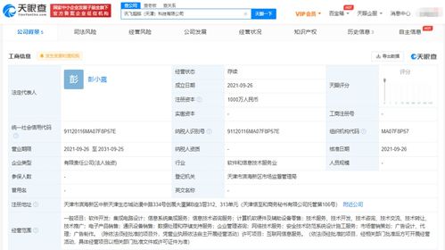科大訊飛布局新賽道 成立超腦科技公司，深化信息系統集成服務